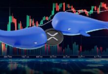 حيتان XRP تشتري 110 مليون XRP إضافية - هل الوصول إلى سعر 6 دولارات هو الهدف التالي؟ اكتشف الآن!