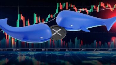 حيتان XRP تشتري 110 مليون XRP إضافية - هل الوصول إلى سعر 6 دولارات هو الهدف التالي؟ اكتشف الآن!