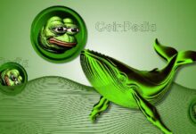 نقل 341.5 مليون دولار من عملة PEPE خارج المنصات، هل حان وقت الشراء؟