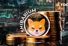 مطوّر SHIB البارز يدعو MetaMask لإصلاحات كبيرة في Shibarium – اكتشف التفاصيل الآن!