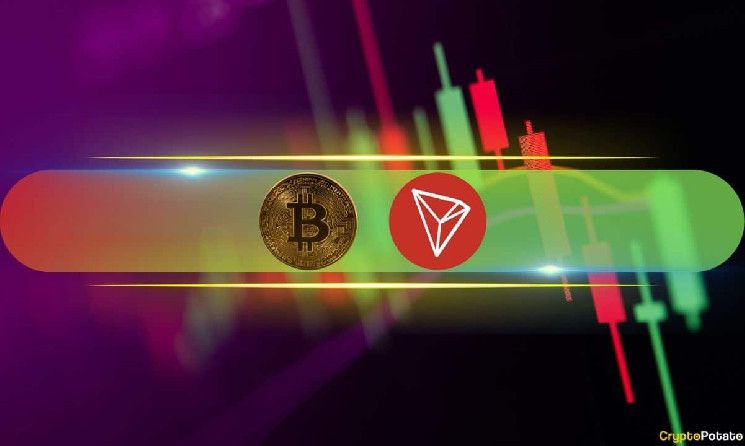 قم بمتابعة أعلى مستويات BNB و TRX الجديدة مع عودة BTC إلى 97 ألف دولار!