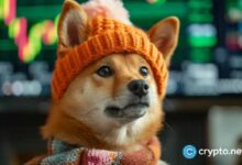 منصة Coinbase توسع تداول Dogwifhat في نيويورك - اكتشف الآن!