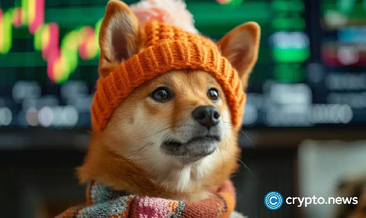 منصة Coinbase توسع تداول Dogwifhat في نيويورك - اكتشف الآن!