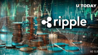 انفجار عملة Ripple RLUSD المستقرة بنمو بنسبة 106% في الأحجام: اكتشف المزيد