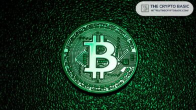 إليك مقدار جذب البيتكوين شهرياً وما يعنيه للسعر - اكتشف المزيد الآن