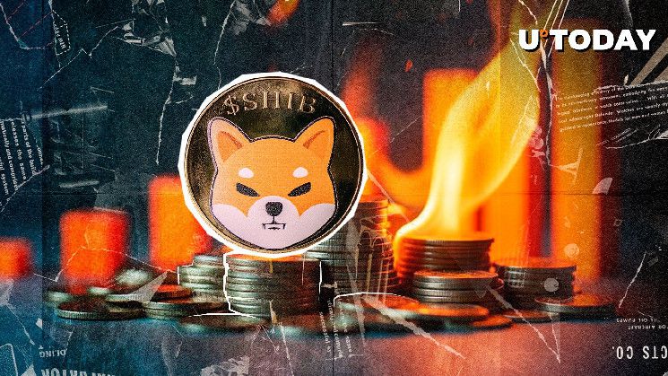 اشتعال SHIB يرتفع بنسبة 2,542%، هل سيتبع السعر؟ اكتشف الآن!