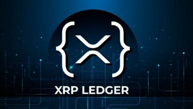 تنفيذي في XRPL Labs يوضح أهمية التعديل الجديد - اكتشف المزيد!