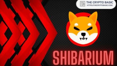 أفضل بورصة تكشف عن Shiba Inu L2 Shibarium لأكثر من 40 مليون مستخدم مع تكامل المحفظة الجديد - اكتشف المزيد الآن!