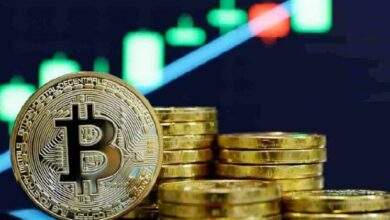 اكتشف أداء بيتكوين (BTC) في عام 2024 حتى الآن!