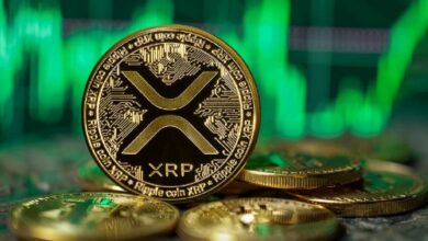 خبير تداول بارز: XRP "أفضل بلامقارنة" من الميم كوينز - اكتشف لماذا!