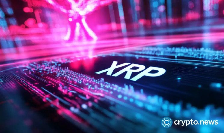 ارتفاع سعر XRP بنسبة 15٪ خلال 24 ساعة مع نمو الشبكة يدفع المسيرة، لكن هل سيستمر؟ اكشف التفاصيل!