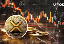 من 3 مليارات إلى 300 مليون: هل تفقد XRP قوتها؟ اكتشف الآن!