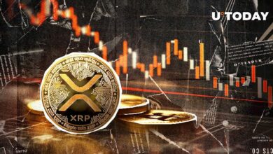 من 3 مليارات إلى 300 مليون: هل تفقد XRP قوتها؟ اكتشف الآن!