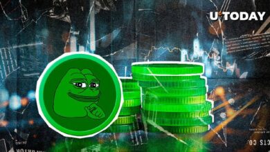 150 مليار PEPE تثير صدمة أكبر بورصة عملات رقمية Binance