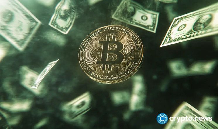 سعر البيتكوين ينهار: 4 أسباب لانتعاشه والوصول لأعلى مستوى تاريخي