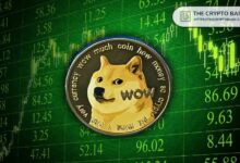 خبير يؤكد: لا توجد مشكلة في دوج كوين رغم توقف ارتفاع DOGE - اكتشف المزيد الآن!