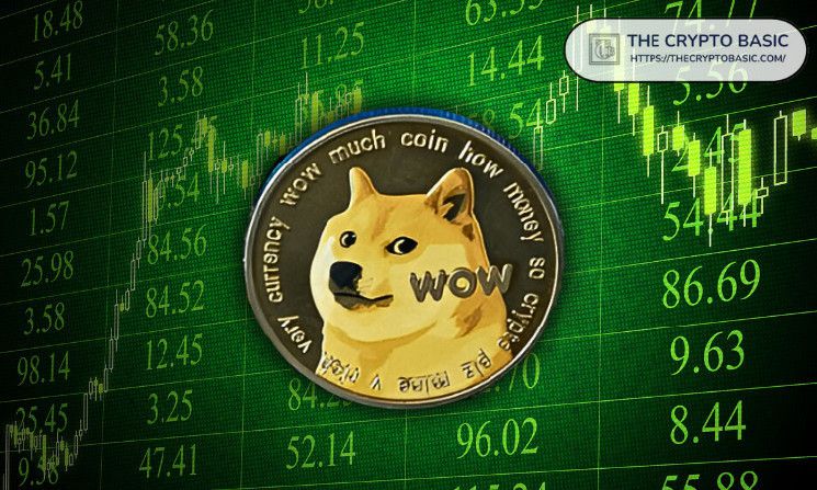 خبير يؤكد: لا توجد مشكلة في دوج كوين رغم توقف ارتفاع DOGE - اكتشف المزيد الآن!