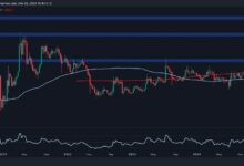 تحليل سعر ريبل: ماذا ينتظر XRP بعد الانهيار الأخير بنسبة 17٪؟ اكتشف المزيد الآن!