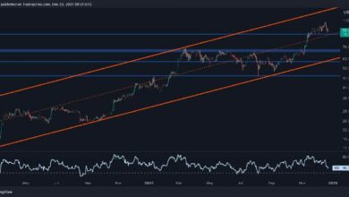 تحليل سعر البيتكوين: هل يمكن للبيتكوين الارتداد إلى 100 ألف دولار بعد انخفاض أسبوعي بنسبة 8٪؟ اكتشف الآن!