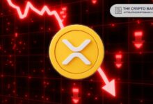 خبير يوضح لماذا يمكن لـ XRP الانخفاض إلى 0.60 دولار وفقدان جميع مكاسبه - اكتشف الأسباب!