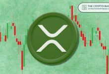 سقوط XRP: هل يُترك مستثمرو XRP حاملين الخسائر مرة أخرى؟ اكتشف المزيد!