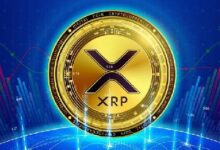 هل وصل سعر XRP إلى مرحلة التشبع الشرائي بعد ارتفاع أسبوعي بنسبة 113٪؟ اكتشف الآن!