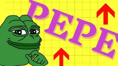 توقعات سعر PEPE ليوم 28 ديسمبر: هل الصعود وشيك؟