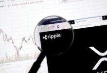 أفضل 10 حاملي XRP يمتلكون 35% من جميع الرموز - اكتشف الأسباب الآن!