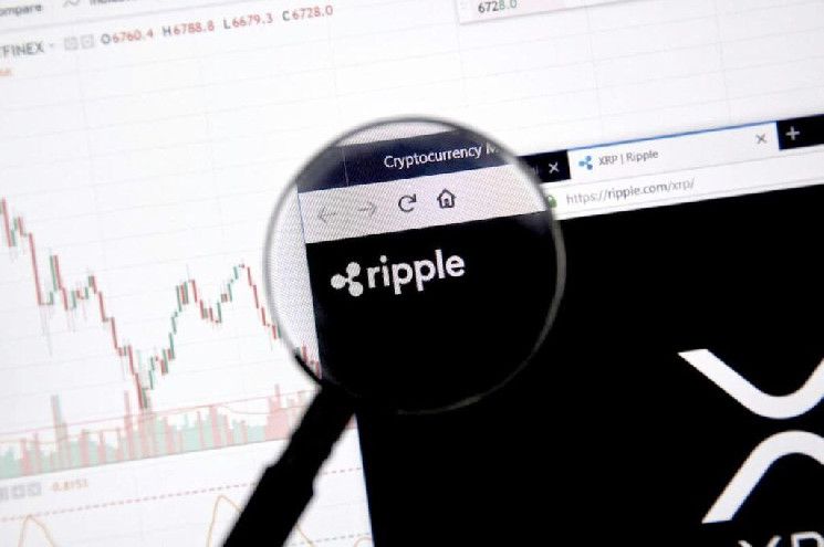 أفضل 10 حاملي XRP يمتلكون 35% من جميع الرموز - اكتشف الأسباب الآن!