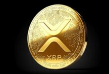 سعر XRP يظهر مقاومة بينما BTC يهبط أكثر: اكتشف الأسباب الآن!