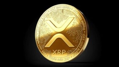 سعر XRP يظهر مقاومة بينما BTC يهبط أكثر: اكتشف الأسباب الآن!