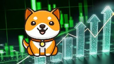 مجتمع BabyDoge يترقب إدراجات في البورصات الرائدة! تعرف على التفاصيل الآن