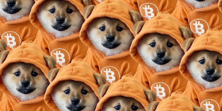 انطلاق عملات الميم بيبي دوج ونايرو مع ارتفاع توكن بتكوين DOG إلى أعلى مستوى له على الإطلاق | اكتشف المزيد الآن!