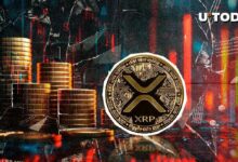 هل ينخفض سعر XRP؟ الوضع ليس سيئاً كما يبدو - اكتشف التفاصيل