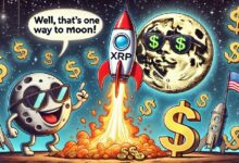 توقعات سعر XRP الكبيرة: هل سيصل XRP إلى 10 دولارات؟ اكتشف الآن!