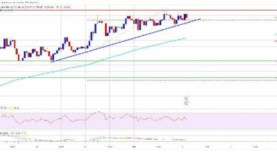 هل ستشهد إيثيريوم (ETH) ارتفاعاً كبيراً في 2025؟ الخبراء منقسمون! اكتشف الأسباب الآن…