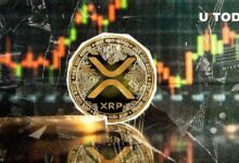 ارتفاع XRP إلى 2.50 دولار لأول مرة منذ ست سنوات — اكتشف الأسباب وراء ذلك!