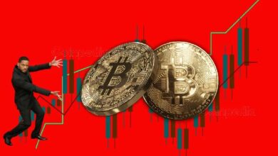 سعر بيتكوين يسجل أعلى مستوى جديد الأسبوع المقبل - اكتشف التفاصيل الآن!