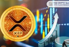 اكتشفوا كيف أصبحت XRP الرابح الأكبر منذ فوز ترامب وأكثر العملات تداولاً على بينانس!