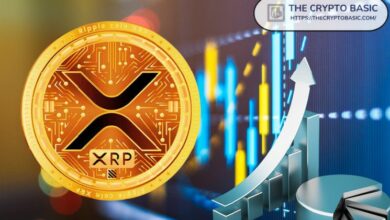 اكتشفوا كيف أصبحت XRP الرابح الأكبر منذ فوز ترامب وأكثر العملات تداولاً على بينانس!