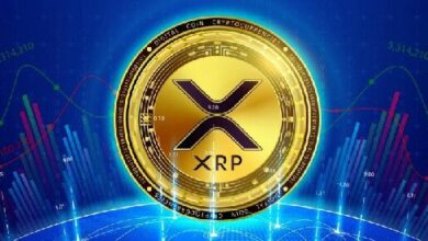 هل وصل سعر XRP إلى حالة البيع المفرط بعد ارتفاع أسبوعي بنسبة 113%؟ اكتشف الآن!