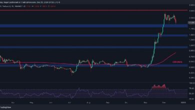 تحليل سعر ريبل: هل ينخفض XRP إلى 1.4 دولار إذا لم يصمد مستوى الدعم هذا؟ اكتشف المزيد!