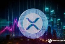 ريبل تحت النار: جاستن بونز يكشف عن مركزية XRP وادعاءات اللامركزية المضللة - اكتشف الحقيقة الآن!