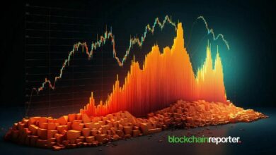 هالو تتعاون مع أفايتوس لإعادة تعريف التداول الدائم - اكتشف التفاصيل الآن!