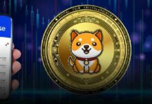 تقديم BabyDoge للإدراج على Coinbase: هل سترتفع الأسعار؟