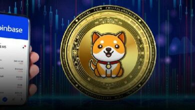 تقديم BabyDoge للإدراج على Coinbase: هل سترتفع الأسعار؟