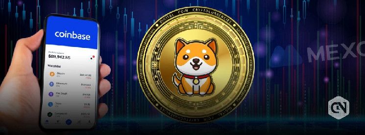 تقديم BabyDoge للإدراج على Coinbase: هل سترتفع الأسعار؟