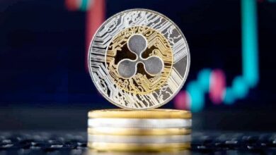 توقعات سعر XRP: الحيتان تجمع 40 مليون رمز خلال 24 ساعة - اكتشف الفرص الآن!