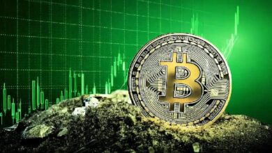 تعرف على التكهنات والاتجاهات: هل يصل سعر البيتكوين إلى 120 ألف دولار بحلول 2024؟