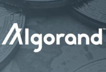 ارتفاع نشاط ALGO: كيف يمكن للمتداولين الاستفادة من زخم صعود Algorand؟